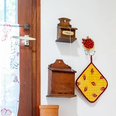 Bright Cocoon In - Close To The Sea Daire *